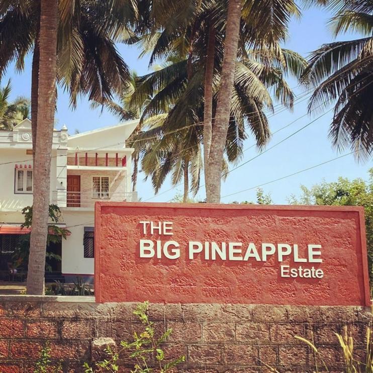 The Big Pineapple Estate Villa Удипи Экстерьер фото